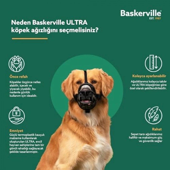 Ultra Ağızlık, Boyut 5