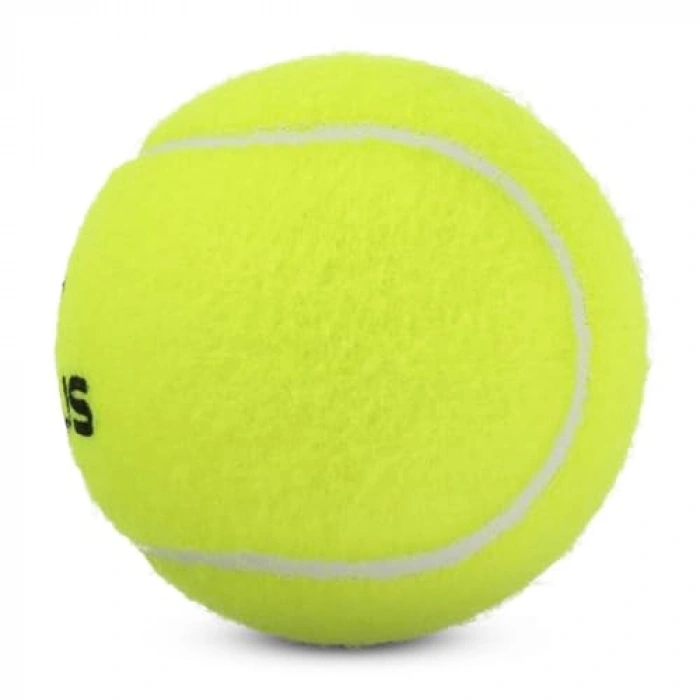 USR Focus Tenis Topu ile Eğlenceli Oyun Deneyimi