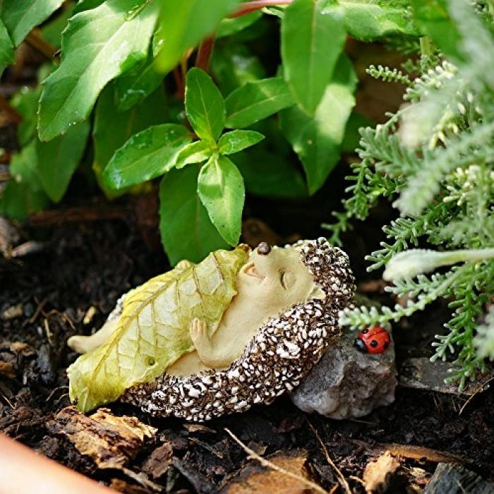 Uyku Halindeki Kirpi Heykeli, Mantar ile Mini Teraryum