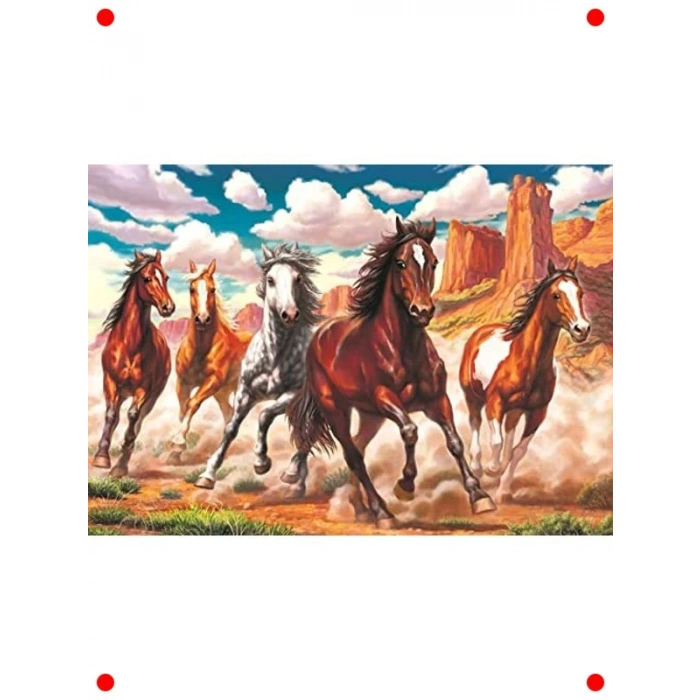 Vadide Dörtnala 1000 Parça Manzara Yapbozu