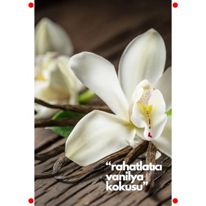 Vanilya Oda Kokusu Yedek Sprey - Makine Uyumlu 250 ml