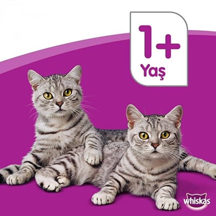 Whiskas Ton Balıklı Kedi Maması 1,4