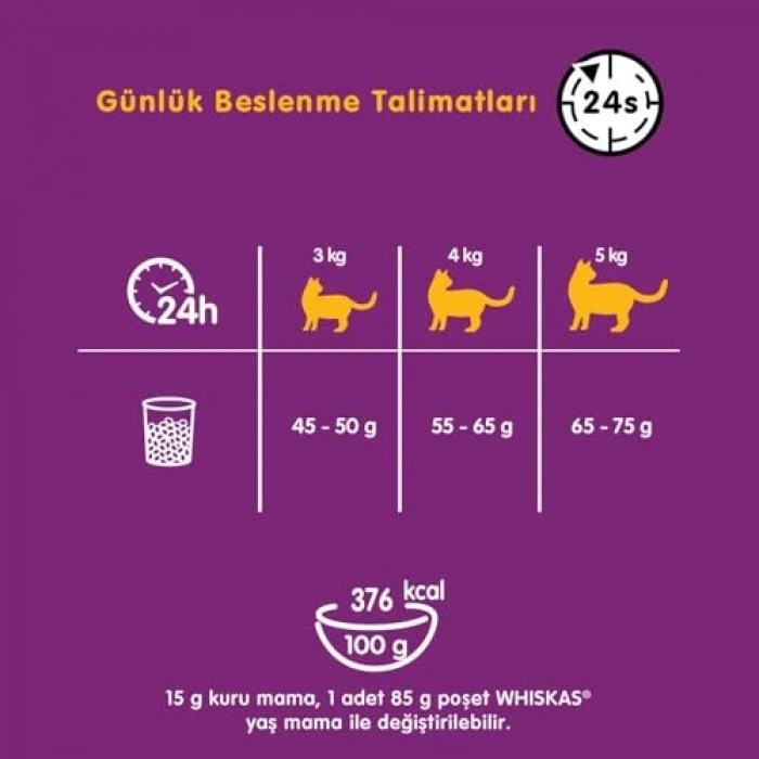 Whiskas Ton Balıklı Kuru Mama 300 G