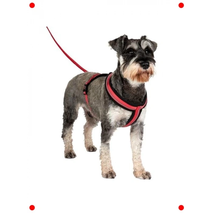 XL Boy Kırmızı Ayarlanabilir Köpek Göğüs Tasması