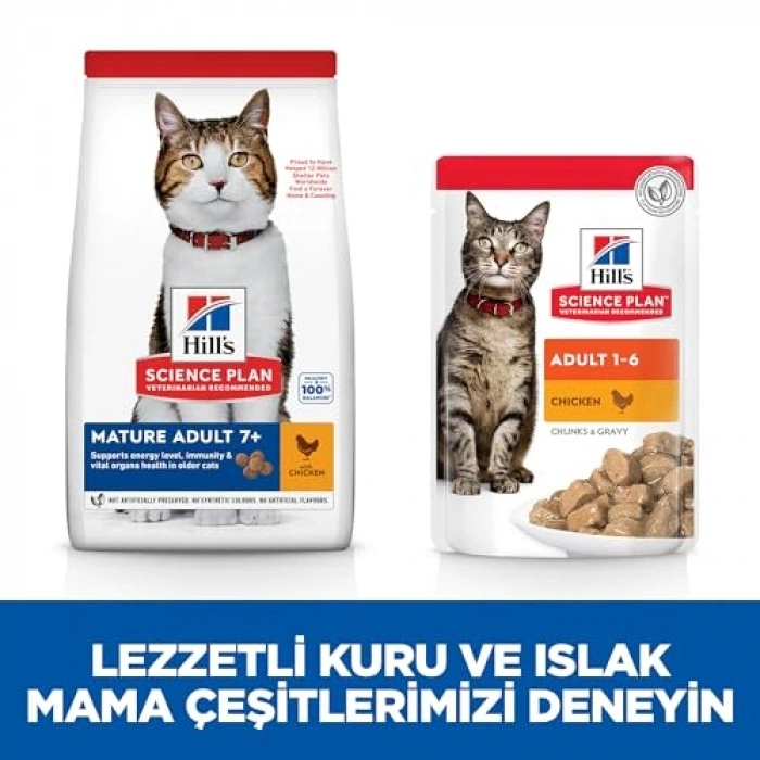 Yaşlı Tavuklu Kedi Maması, 3 kg