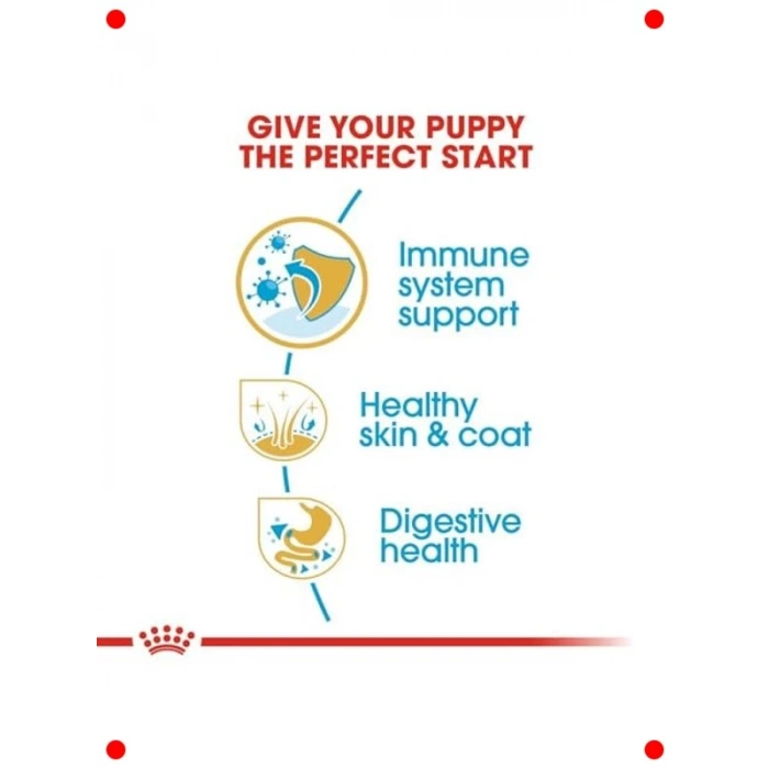 Yavru Cocker İçin Özel Kuru Köpek Maması (3 kg)