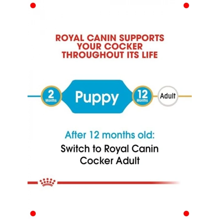 Yavru Cocker İçin Özel Kuru Köpek Maması (3 kg)