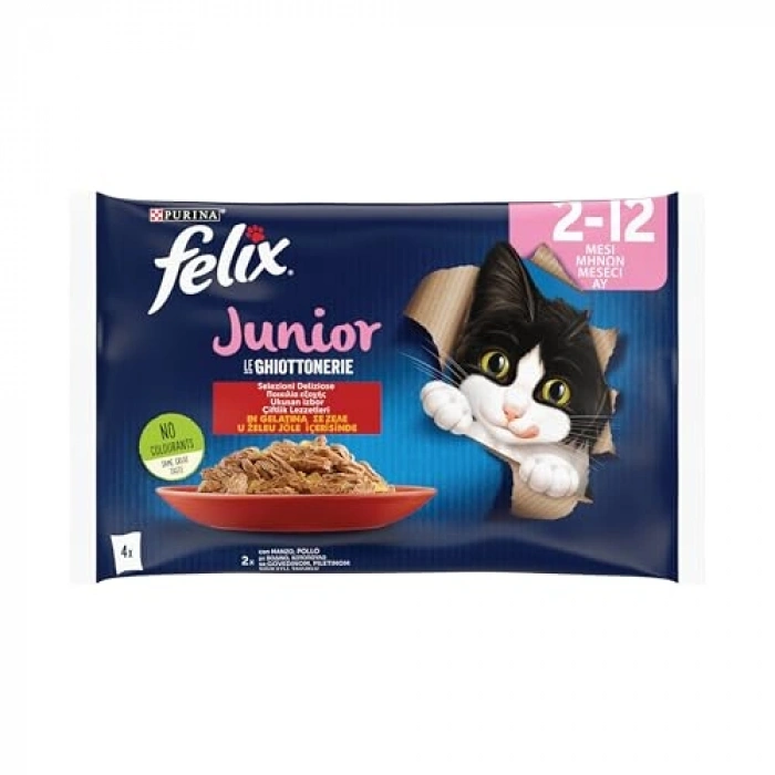 Yavru Kedi Avantajlı Paket, 12x4=85gr
