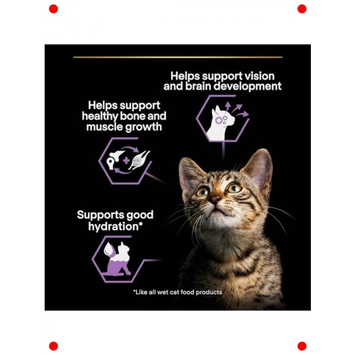 Yavru Kedi Hindi Etli Yaş Mama 10lu Paket 85gr