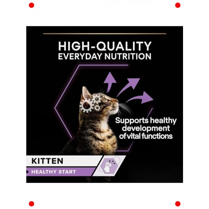 Yavru Kedi Hindi Etli Yaş Mama 10lu Paket 85gr