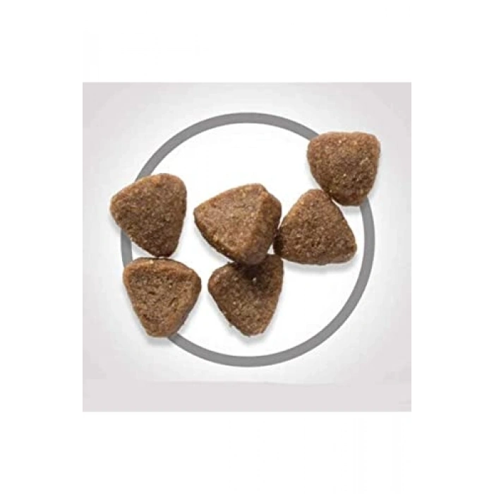 Yavru Kedi İçin Tavuklu Kuru Mama - 3 kg