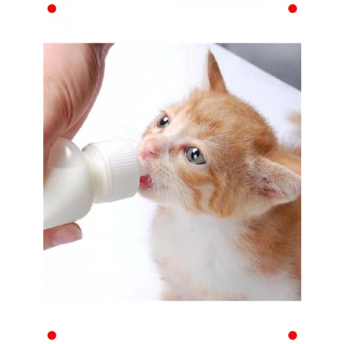 Yavru Kedi Köpek Biberonu 2 Emzikli 50 ml