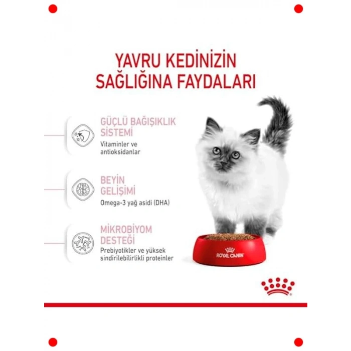 Yavru Kedi Maması, Gelişim Desteği, 4 Kg