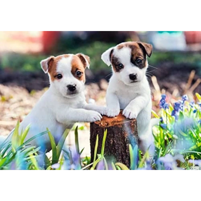 Yavru Köpekler Temalı 12 Parça Puzzle, Çocuklar İçin