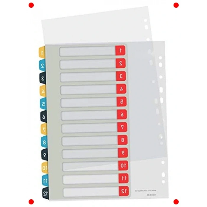 Yazdırılabilir Dosya Ayırıcı - 1-12 Sekmeli PP