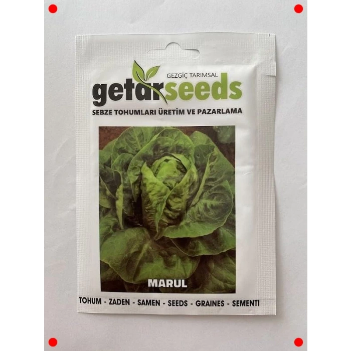 Yedikule Marul Tohumu (Çoklu Paket, 5 Gram)