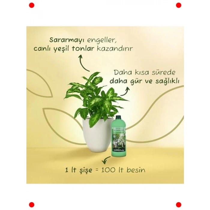 Yeşil Bitkiler İçin Sıvı Besin 1000ml