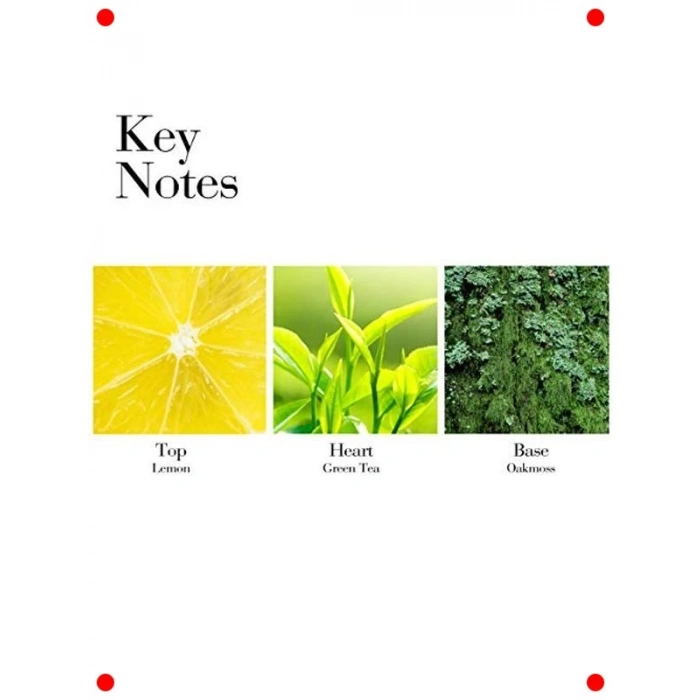 Yeşil Çay ve Bal Özlü Nemlendirici Vücut Kremi 250 ml