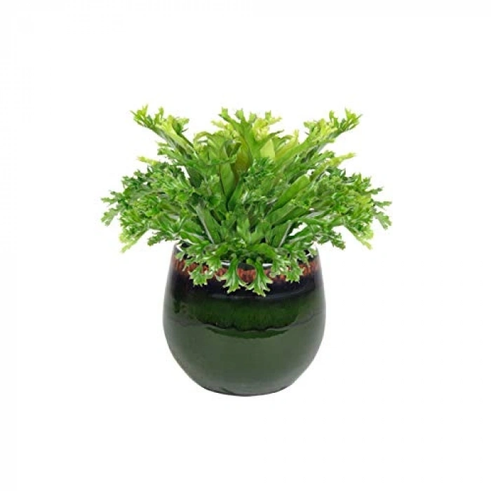 Yeşil Çiçek Saksısı, 19 cm Çapında