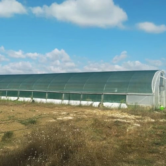 Yeşil Çit Filesi, %75 Görüntü Kesici, Bahçe ve Sera için