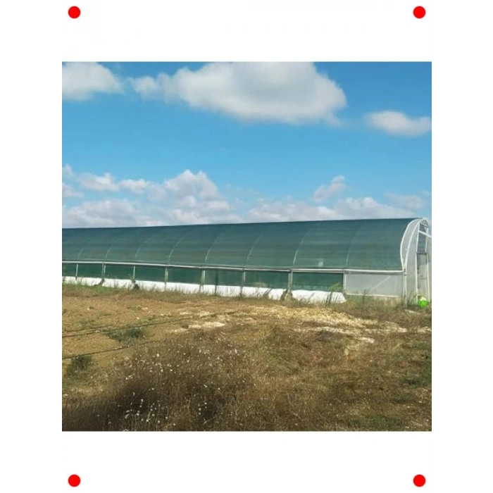 Yeşil Çit Filesi | %75 Görüntü Kesme | 1.5m x 100m