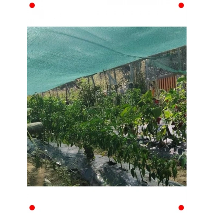 Yeşil Çit Filesi | %75 Görüntü Kesme | 1.5m x 100m