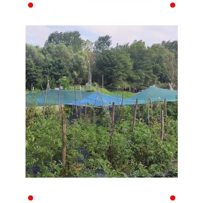 Yeşil Gölgelik File | %75 Gölgeleme | 1m x 15m