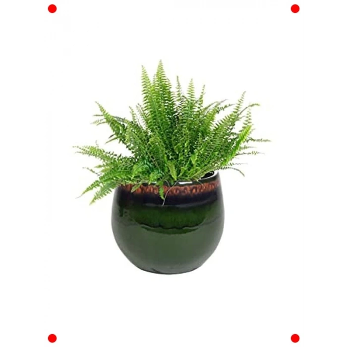 Yeşil Seramik Bitki Saksısı 15x13 cm