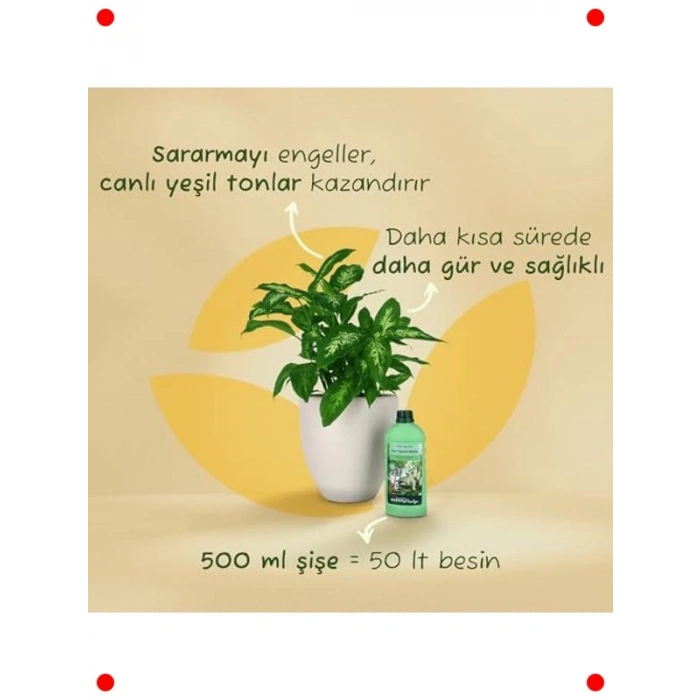 Yeşil Yapraklı Bitkiler İçin Sıvı Besin 500 ml