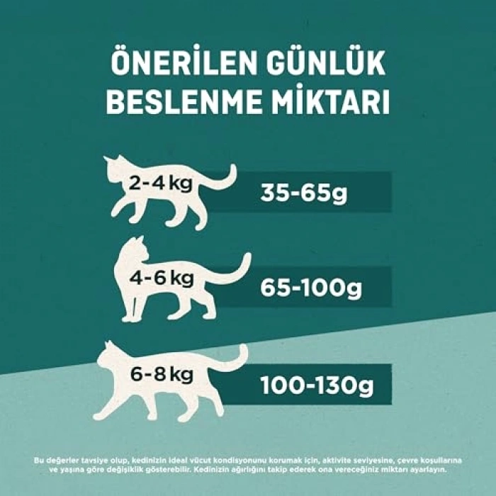 Yetişkin Kedi İçin Sığır Etli Kuru Mama - 800 g