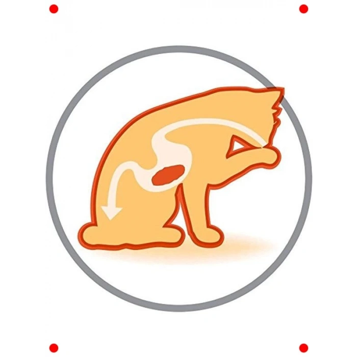 Yetişkin Kedi Maması, Tüy Sağlığı ve Güzelliği 1.5 Kg