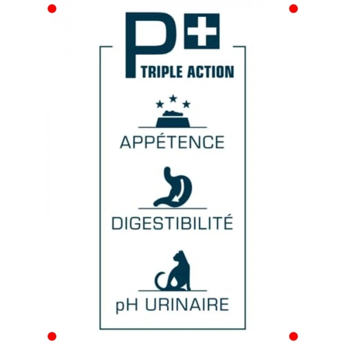 Yetişkin Kediler İçin Hindili Mama (2 Kg)