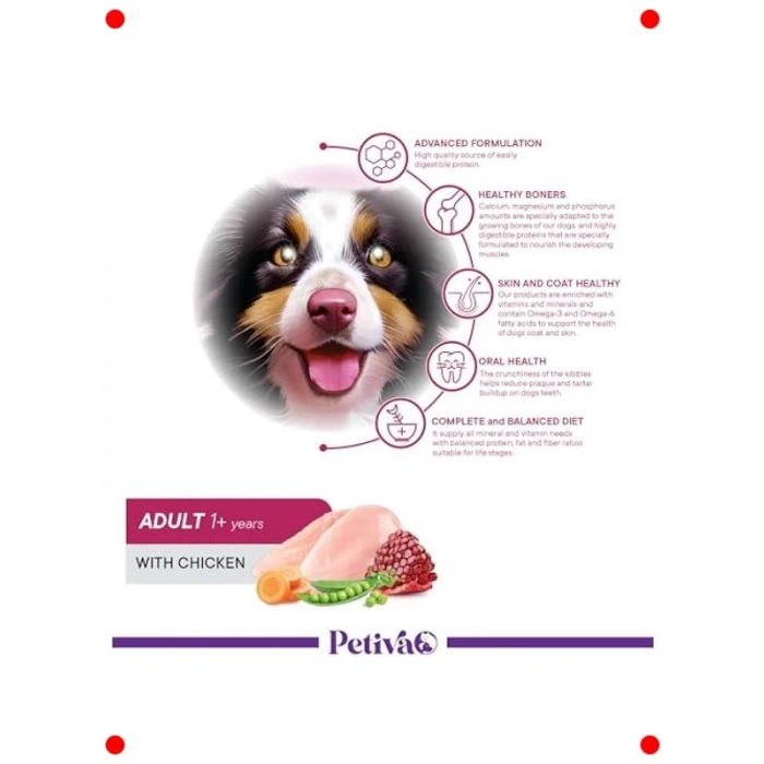 Yetişkin Köpek Tavuk Etli Kuru Mama 15 kg