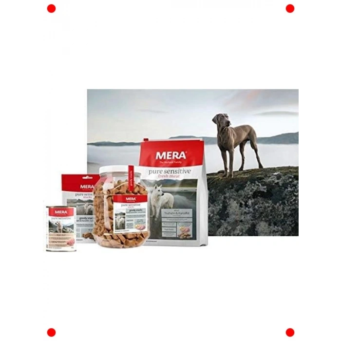 Yetişkin Köpekler İçin Hassas Hindili Konserve Mama - 400g