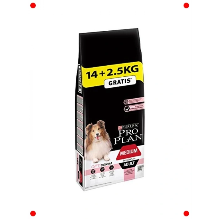 Yetişkin Orta Irk Köpek Maması | Somonlu 16.5 Kg Set