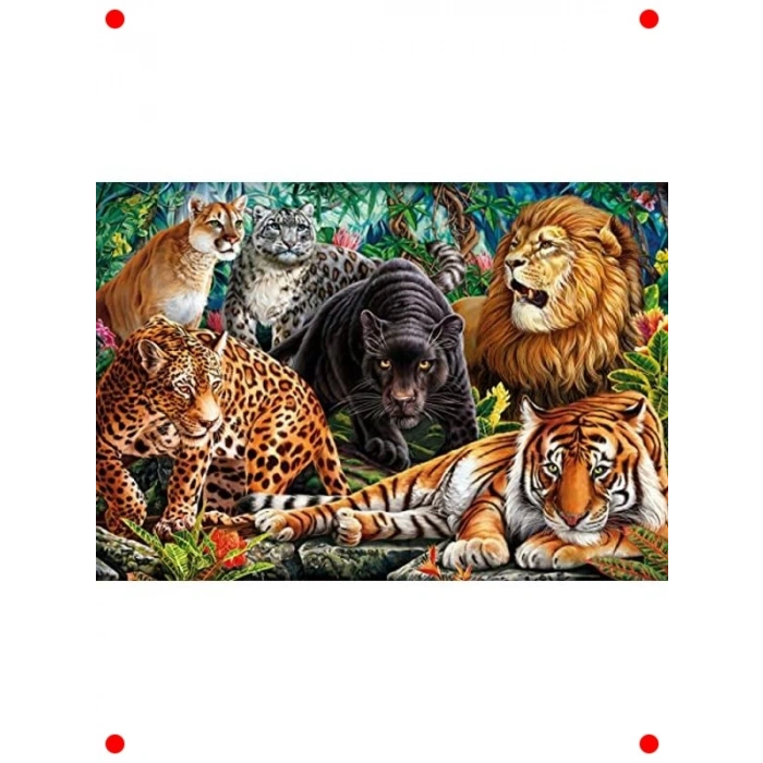 Yırtıcı Kediler Temalı 500 Parça Yetişkin Yapbozu