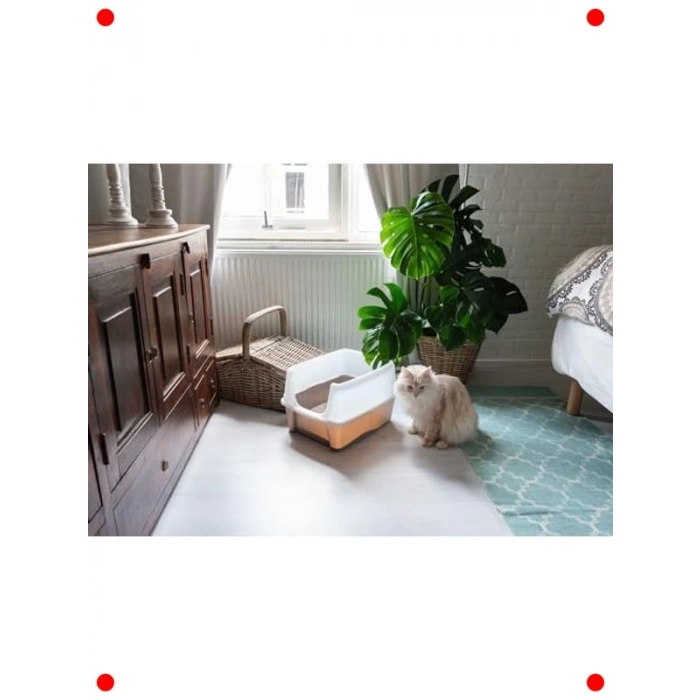 Yüksek Kenarlı Kedi Tuvaleti | Dağılmaz Tasarım + Kürek