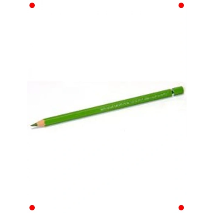 Yüksek Pigmentli Sulu Boya Kalemi - Açık Yeşil