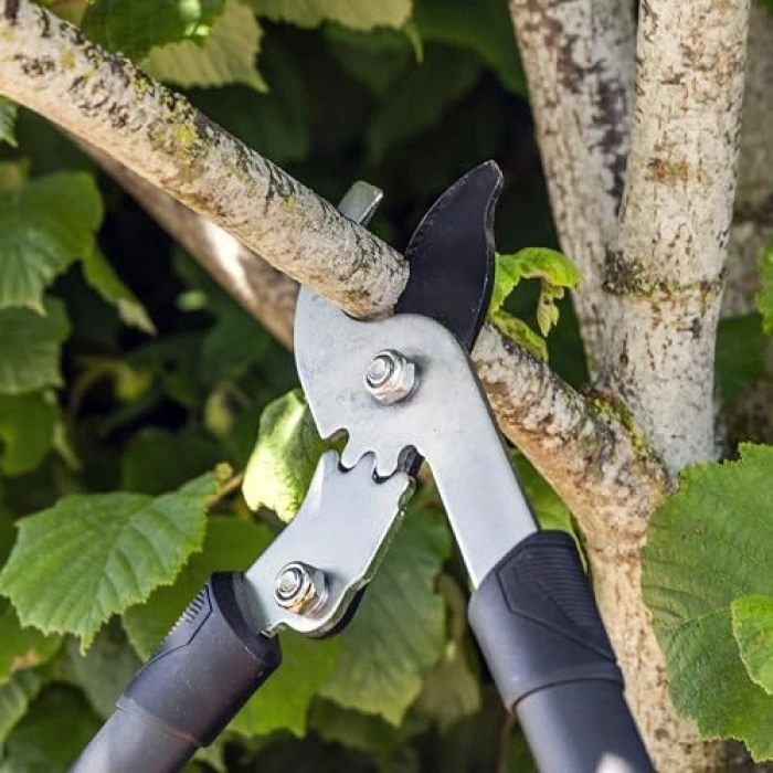 Yumuşak Saplı Dişli Karbon Bypass Budama Makası