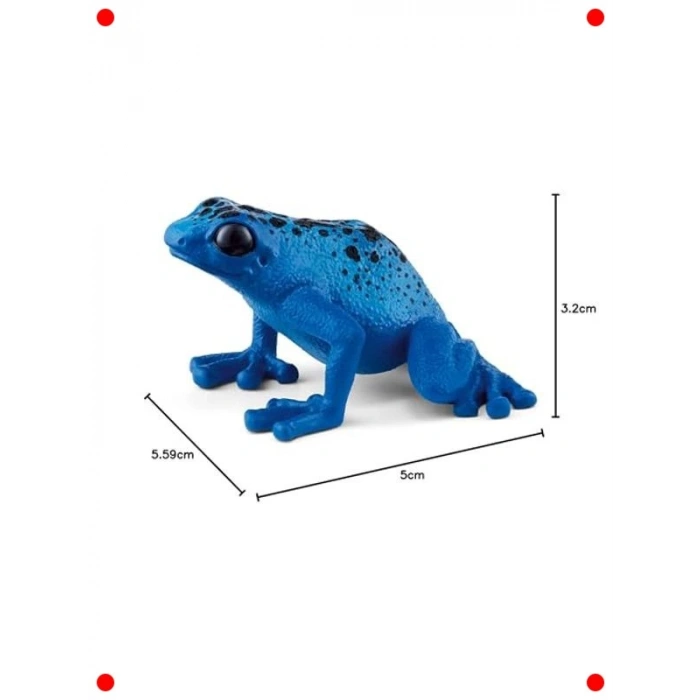 Zehirli Dart Kurbağası Gerçekçi Oyuncak Figür