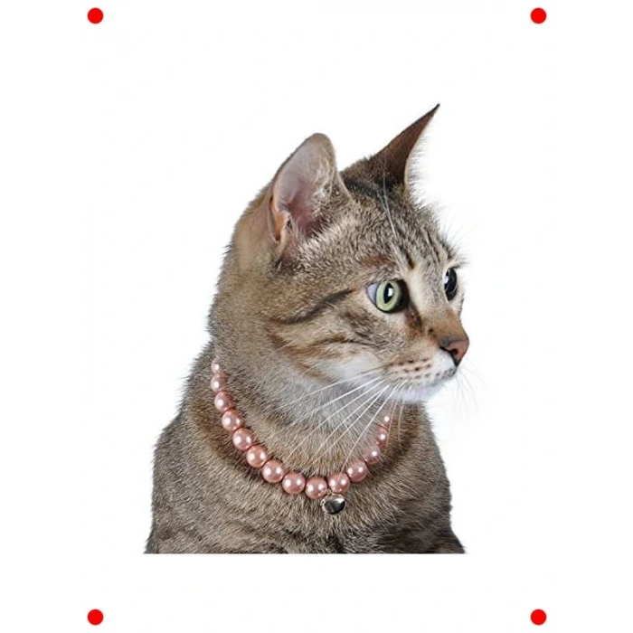 Zilli İnci Kedi ve Köpek Boyun Tasması