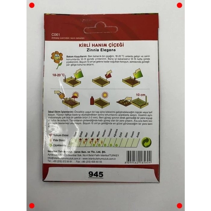 Zinnia Kirli Hanım Karışık Renk Tohum Seti - 200 Adet