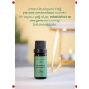 %100 Saf Limon Otu Uçucu Yağı 10 ml