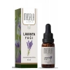 10 ml Saf Lavanta Yağı, Aromaterapi ve Cilt Bakımı için