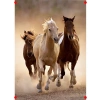 1000 Parça Yetişkin Yapbozu - Koşan Atlar
