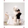 140 cm Papyonlu Dev Yumuşak Peluş Ayı