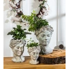 16.5 cm Yükseklikte Gri Renkli Bayan Başı Bitki Saksısı