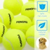 2li Set Küçük Boy Tenis Topu, Dayanıklı Kauçuk