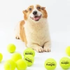 2li Set Küçük Boy Tenis Topu, Dayanıklı Kauçuk