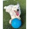 20 cm Deniz Mavisi Futbol Temalı Oyuncak, 1 Adet